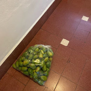 Meet your Posher, Mildred